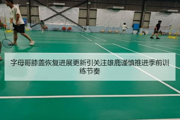 字母哥膝盖恢复进展更新引关注雄鹿谨慎推进季前训练节奏